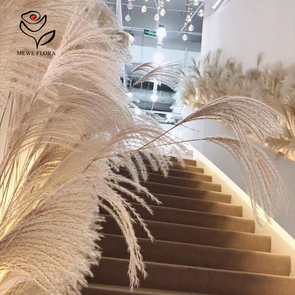 200 шт., натуральные сушеные п – обзор и цена Luxury Lifestyle Store