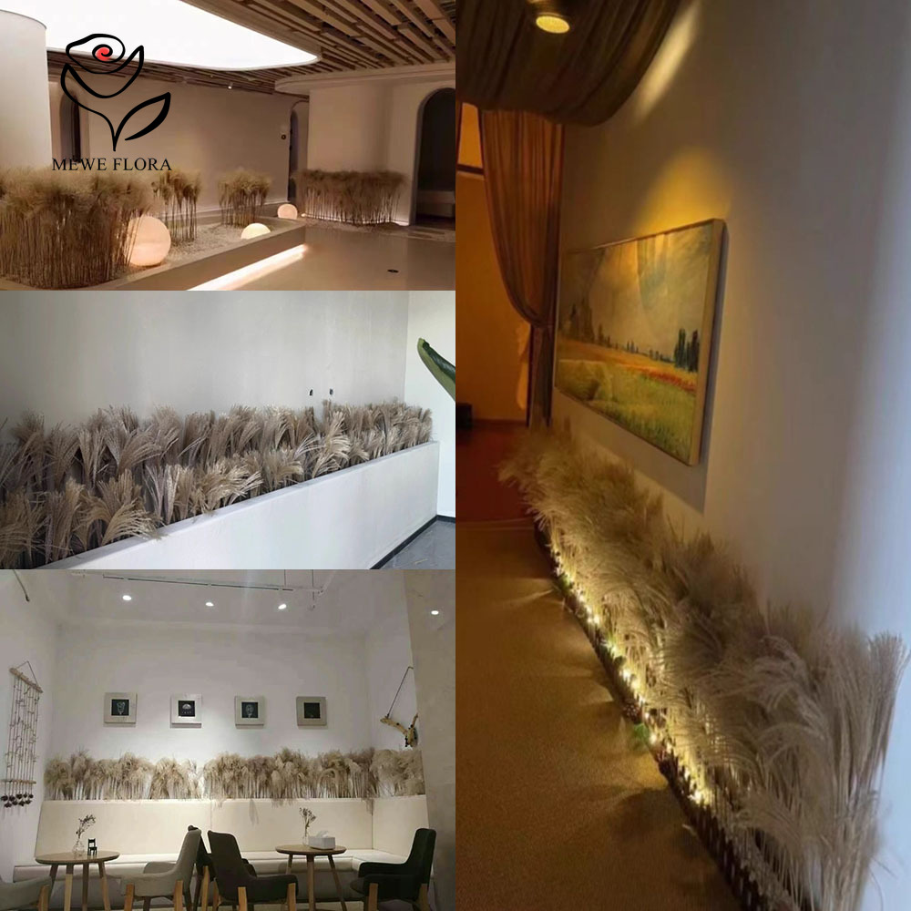200 шт., натуральные сушеные п – обзор и цена Luxury Lifestyle Store
